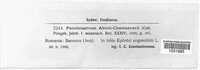 Pucciniastrum epilobii image